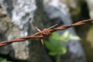 Barbed Wire, Dartmoor